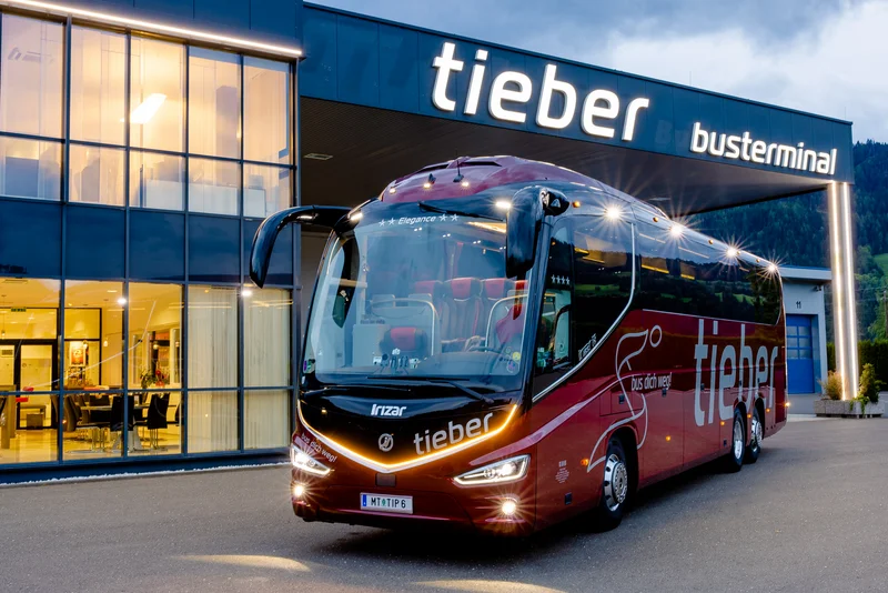 Red Elegance / Bild 1