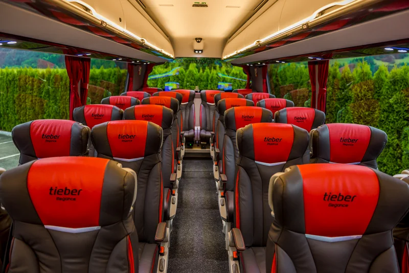 Red Elegance / Bild 5