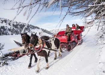 Katschberger Advent mit Pferdeschlittenfahrt
