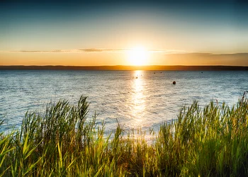 Schiff- & Kutschenfahrt am Neusiedlersee