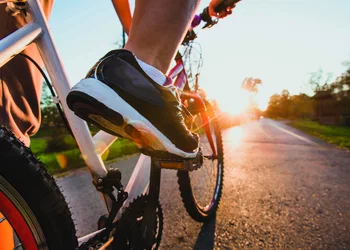 Marchfeldkanal Radtour 