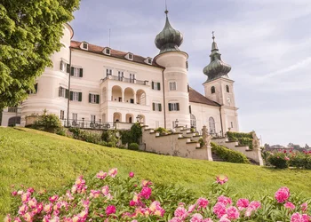 Pfingstrosenfest im Schloss Artstetten
