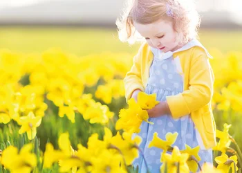 Narzissenfest im Ausseerland