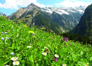 Wandern zum Schiederweiher