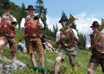 Almrauschblüte auf der Reiteralm