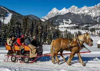 Pferdeschlittenfahrt in der Ramsau