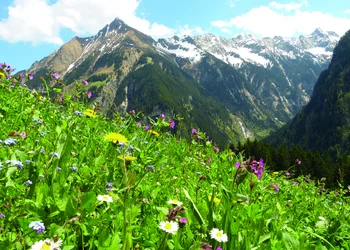 Die Postalm erleben – Unterwegs mit David Zwilling