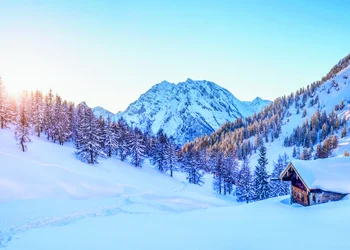 Waldweihnacht Baumkronenweg 